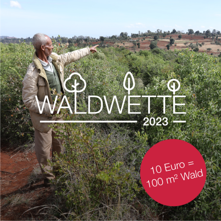 Waldwette Sujet